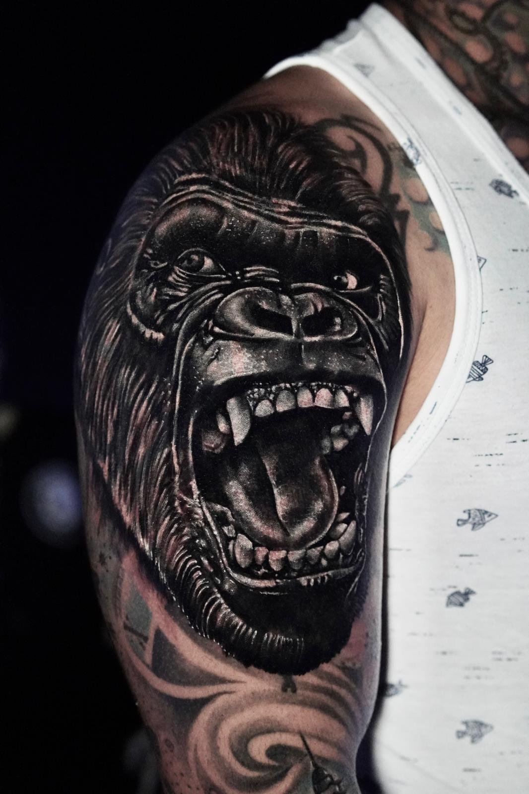 whatsapp image 2026 01 19 at 2.33.00 pm